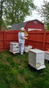 brian-with-hives4